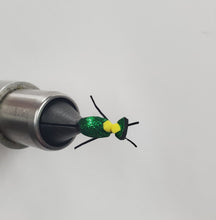 Load image into Gallery viewer, Beetles