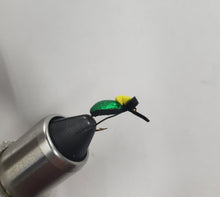 Load image into Gallery viewer, Beetles