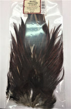 Load image into Gallery viewer, Wapsi Indian Rooster Saddle Patch