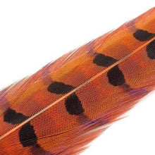 Load image into Gallery viewer, Wapsi Pheasant Ringneck Tail Feathers