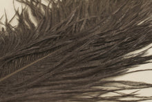 Load image into Gallery viewer, Hareline Dubbin Ostrich Herl