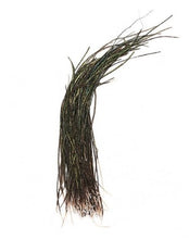 Load image into Gallery viewer, Peacock Herl Strung