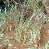 Load image into Gallery viewer, Wapsi Small Palmer Chenille