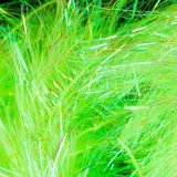 Load image into Gallery viewer, Wapsi Small Palmer Chenille