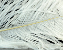 Load image into Gallery viewer, Hareline Dubbin Ostrich Herl