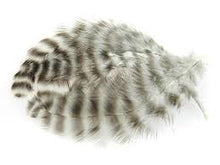 Load image into Gallery viewer, Grizzly Soft Hackle