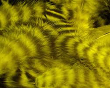 Load image into Gallery viewer, Grizzly Soft Hackle