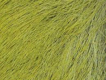 Load image into Gallery viewer, Wapsi Calf Body Hair