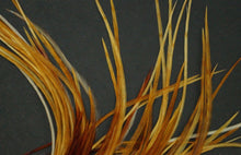 Load image into Gallery viewer, Metz Rooster Saddle Whole Ginger