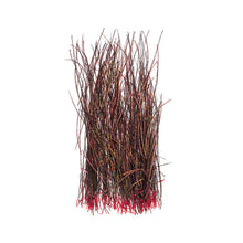Load image into Gallery viewer, Peacock Herl Strung