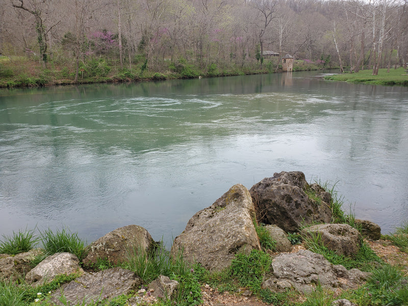 Fishing Report 3/23/2021