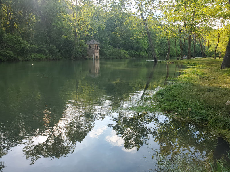 Fishing Report 6/5/2020