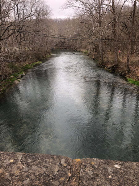 Fishing Report 03-25-2022