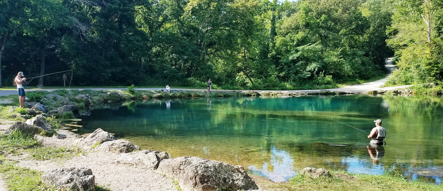 Fishing Report 7/22/2019