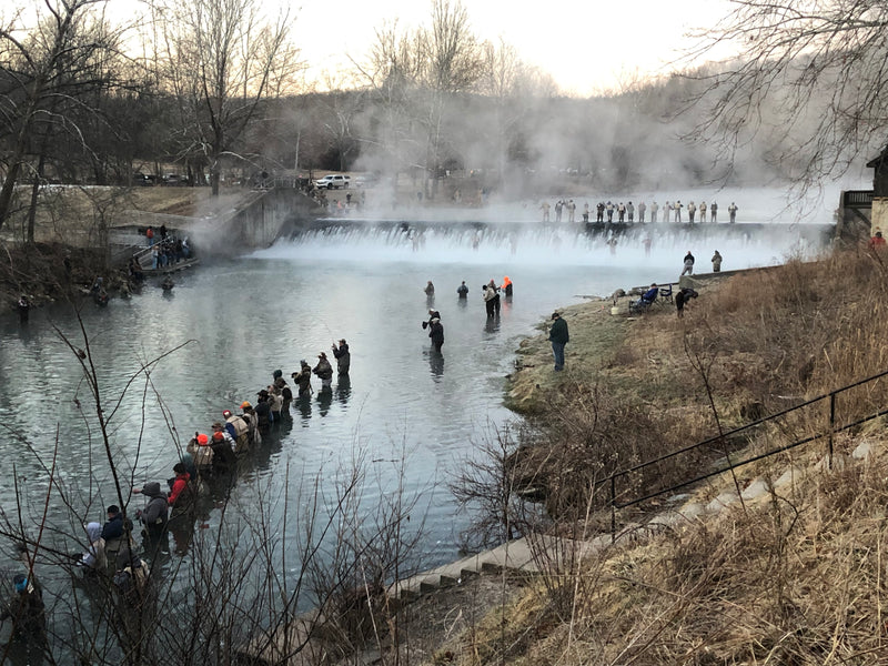 Trout Fishing Report for Bennett Spring 03-04-2022