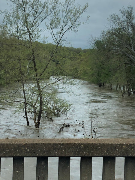 05/06/2022 Fishing Report