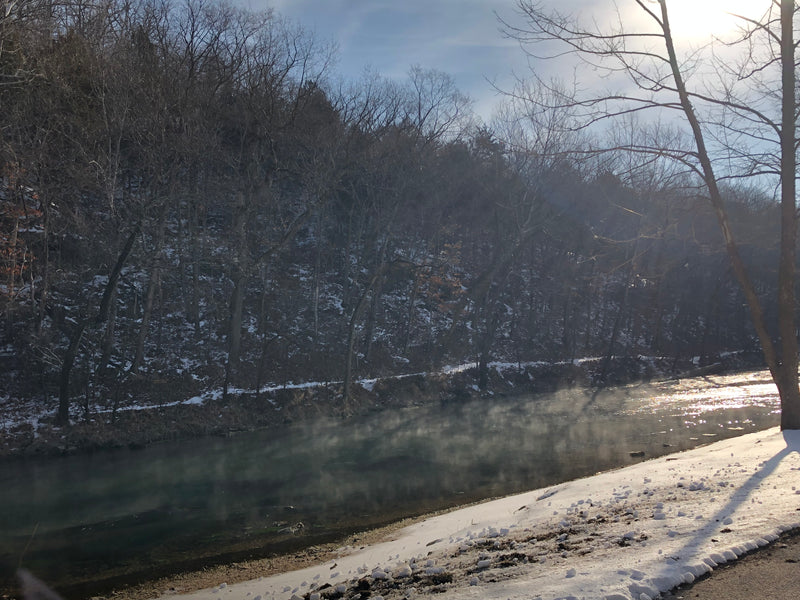 Trout Fishing Report for Bennett Spring 02-25-22