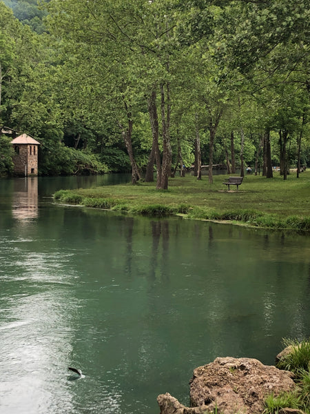 Fishing Report 06/10/2022