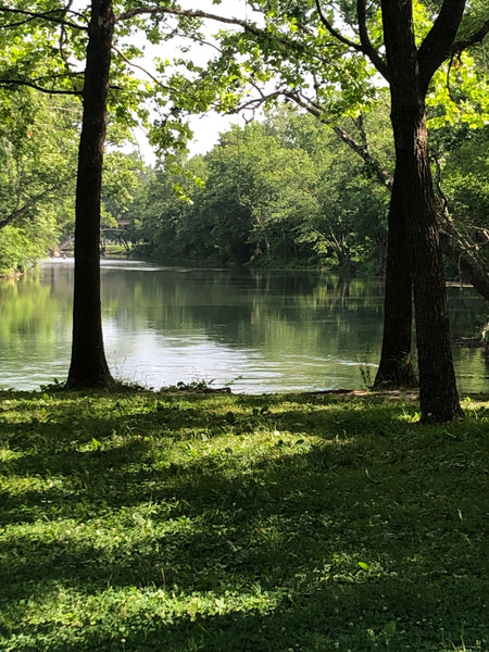 Fishing Report 06/17/2022