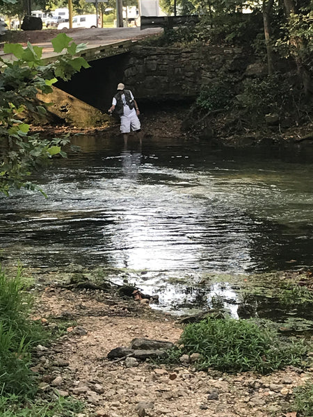September 1, 2021 Trout Fishing Report for Bennett Spring