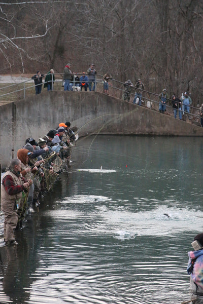 Fishing Report 03/03/2023