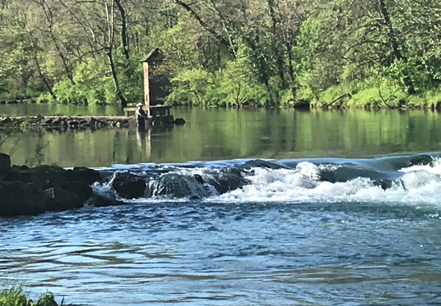 Fishing Report 5/12/2021