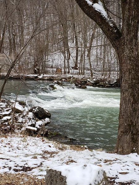 Trout Fishing Report for Bennett Spring 03-11-2022