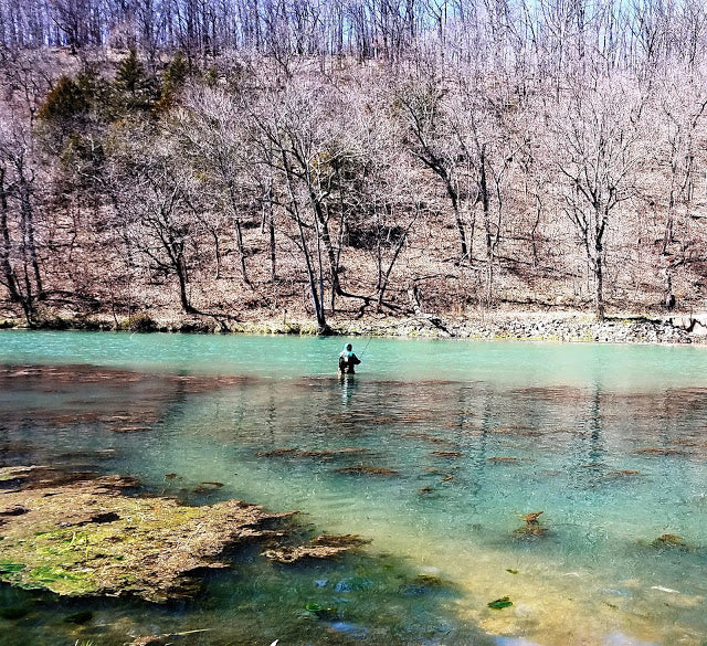 Fishing Report 3/31/2019