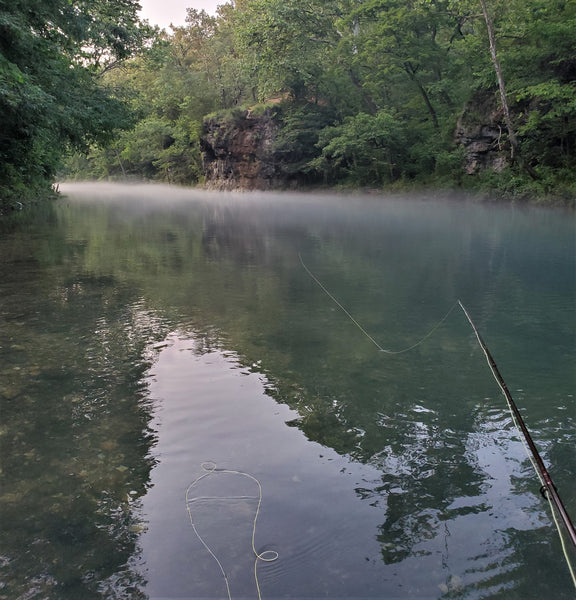 Fishing Report 7/06/2020