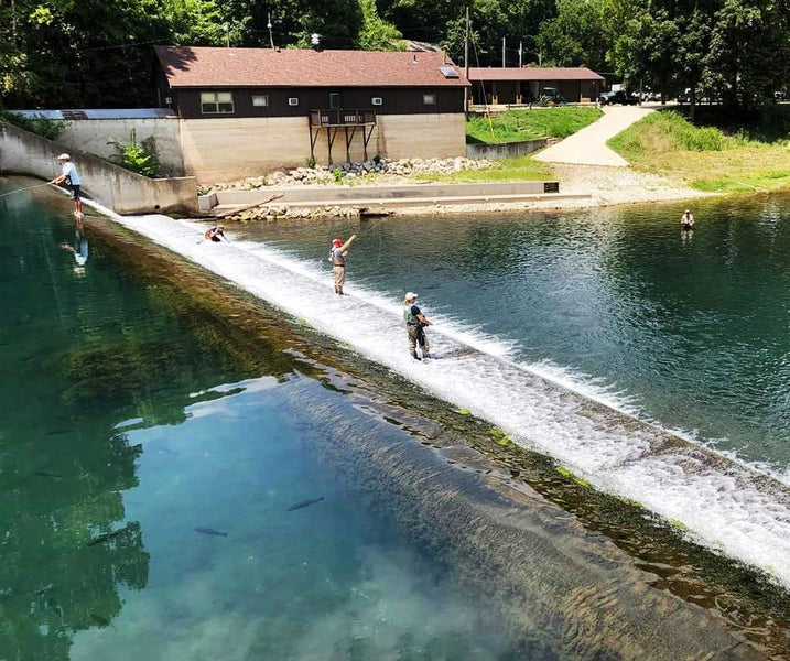 Fishing Report 9/25/2019