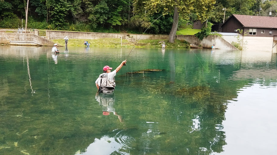 Fishing Report 8/28/2019