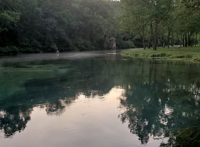 Fishing Report 8/13/2020