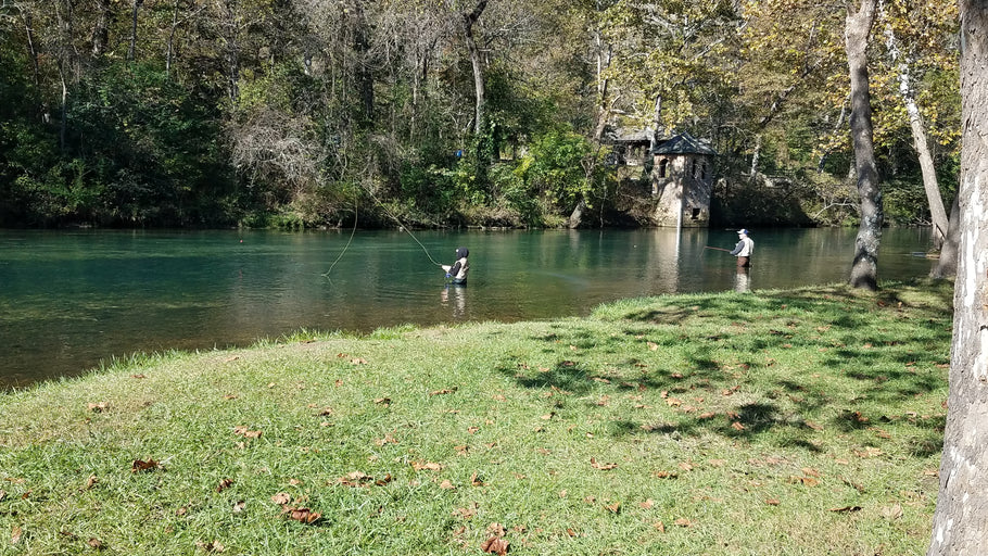 Fishing Report 10/24/2019