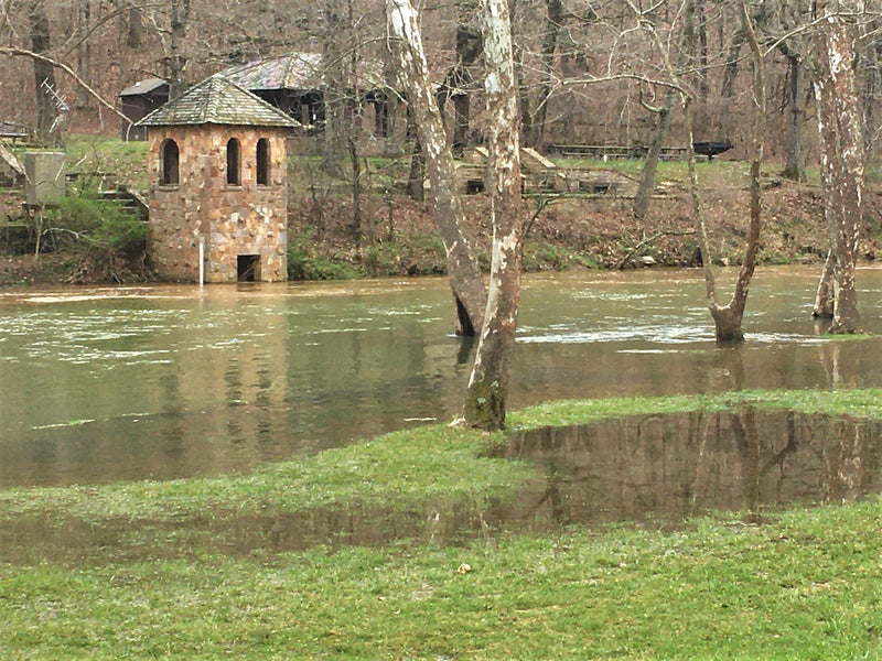 Fishing Report 3/25/2020