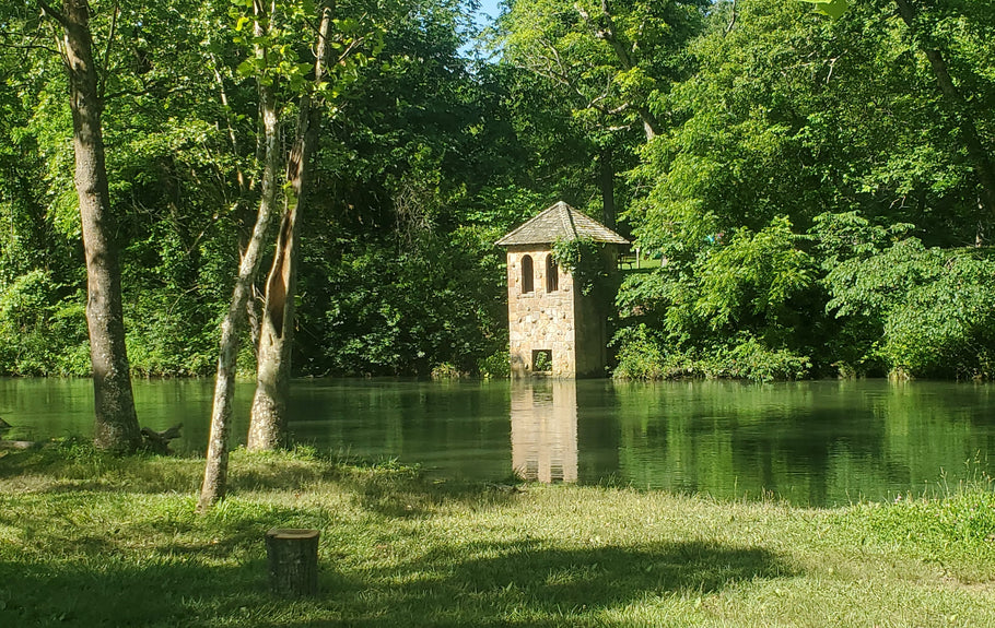 Fishing Report 6/14/2020