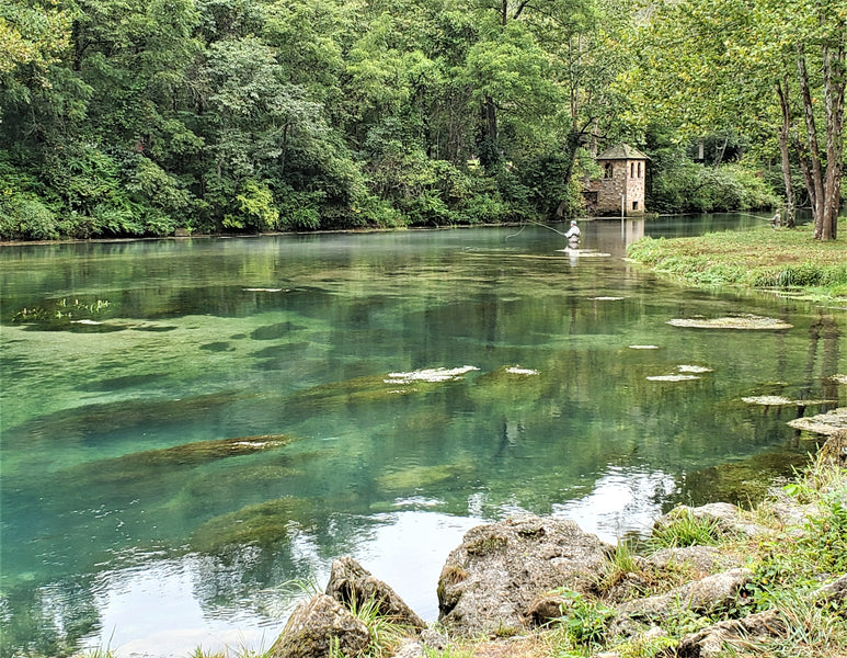 Fishing Report 8/31/2020