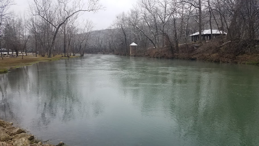 Fishing Report 2/26/2020