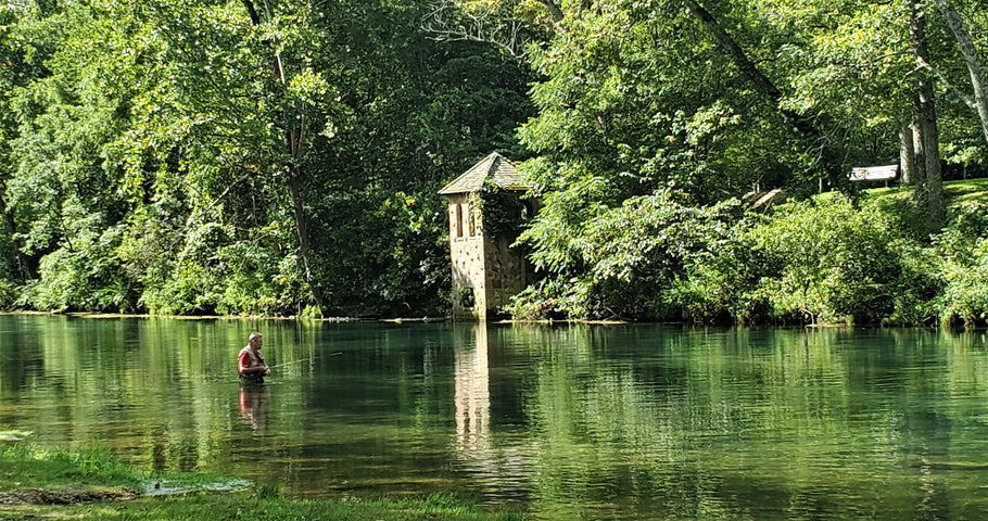 Fishing Report 8/19/2020