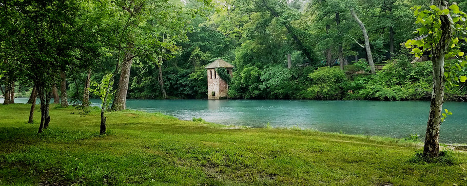 Fishing Report 6/12/2019