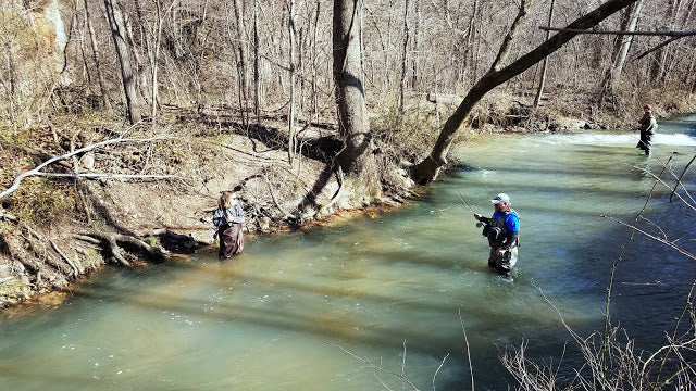 Fishing Report 3/18/2019