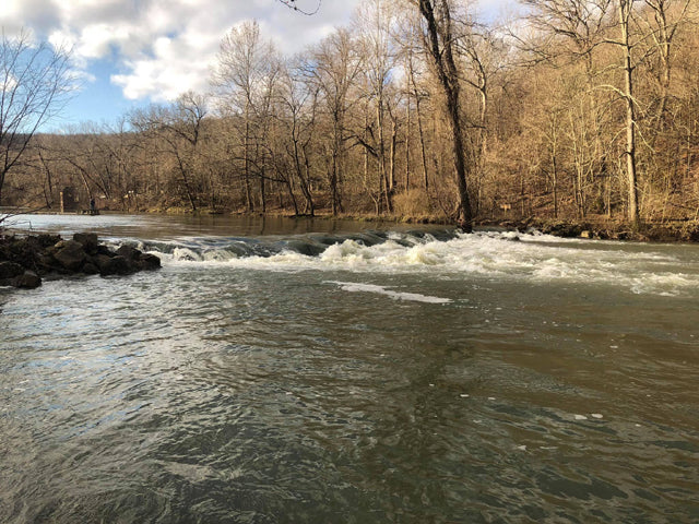 Fishing Report 3/14/2019