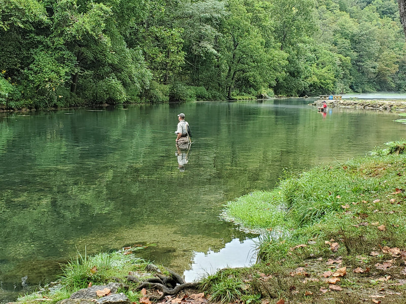 Fishing Report 9/10/2020