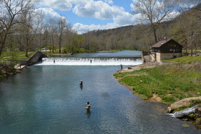 Fishing Report 4/20/2021