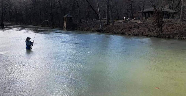 Fishing Report 3/25/2018