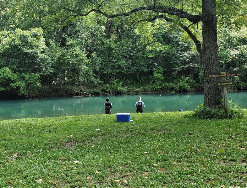 Fishing Report 10/31/2020