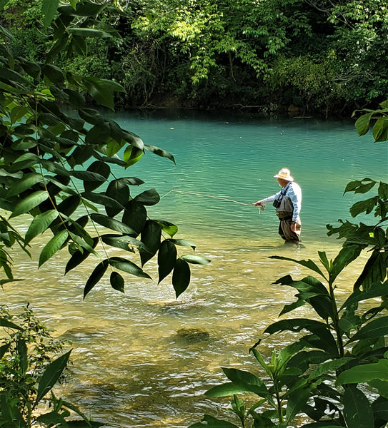 Fishing Report 8/2/2020