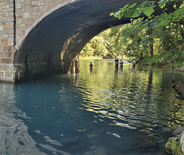 Fishing Report 7/14/2020