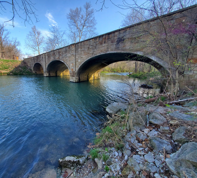 Fishing Report 4/2/2020