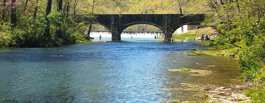 Fishing Report 4/22/2019