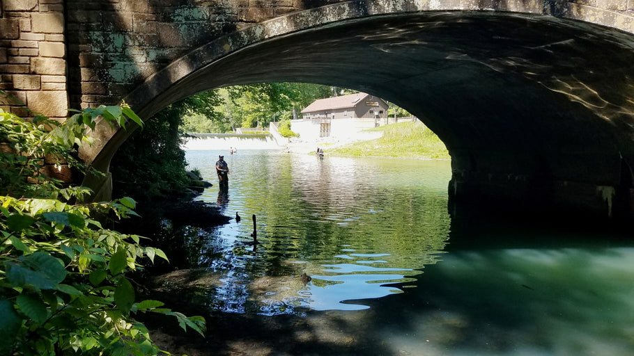 Fishing Report 7/15/2019